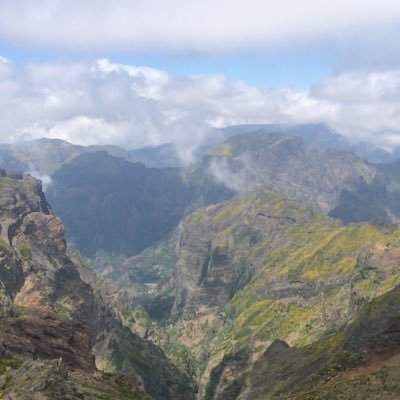 EdmundBannister's profile picture. 