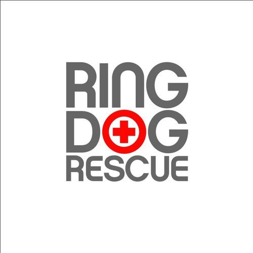 Ring Dog Rescue is a Pit Bull breed rescue. Our focus is the rescue, rehabilitation, and protection of Pit Bull-type breed dogs.