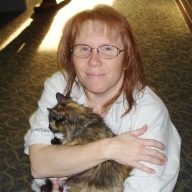 aringirl's profile picture. 