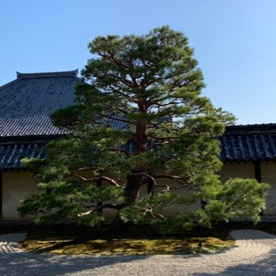 enjoy_kotatsu's profile picture. いしゃ AtCoder水 頑張りたまえよ、少年