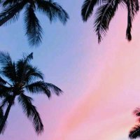 Emilio Amigo (@emilioamigo_) 's Twitter Profile Photo Emilio Amigo (@emilioamigo_) 's Twitter Profile Photo