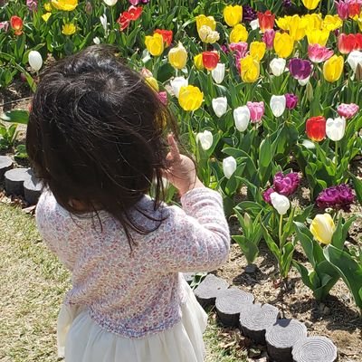 @chacha_aii