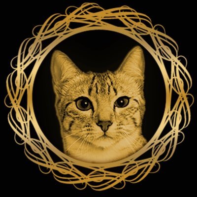 Catcoin (TAC)  is a community based meme token. Our goal is to provide charity donations to mental health organizations and animal shelters around the globe.