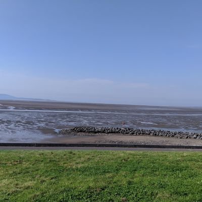 OD69557031's profile picture. Still trying to make sense of the last two years. Never forget.