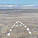 Amany Elsayed - @AmanyEl91734188 - Twitter