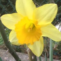 LidiaO (@lidiao47) 's Twitter Profile