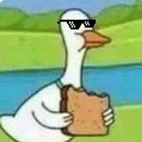 greco016 (@greco016) 's Twitter Profile Photo