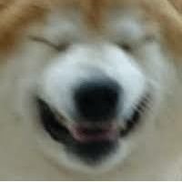 Drevin68's profile picture. One day I went to B and planted the bomb.