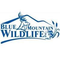 The Mission Of Blue Mountain Wildlife, Incorporated Is The Preservation And Conservation Of The Wildlife And Wetlands Along The Scenic Schuylkill River.