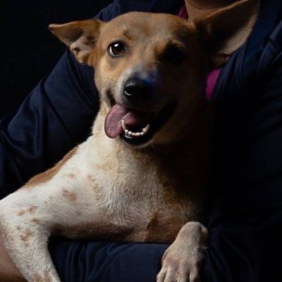 FrostyRej's profile picture. "Nani mo nai yo waraeru-sa"