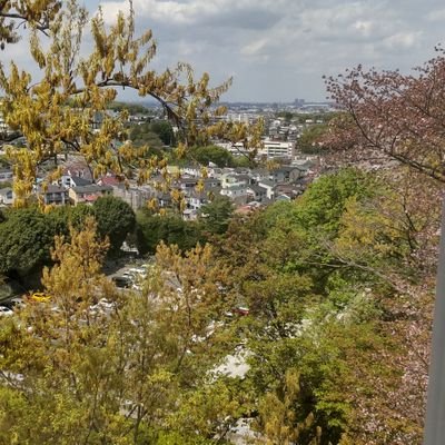 JSLcJVlZPZPcQ4O's profile picture. 