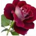 دلال محمد للصداقه العامه (@wzk6muawfmxscqm) Twitter profile photo دلال محمد للصداقه العامه (@wzk6muawfmxscqm) Twitter profile photo