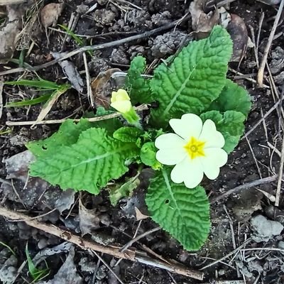 christopheagos5's profile picture. Comptable