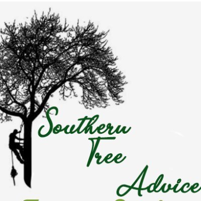 AdviceSouthern's profile picture. Serving the Southern Florida area for all your tree advice, trimming, and maintenance needs.