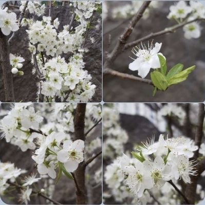 EAe41FjNWpKsqlM's profile picture. 행복하기
