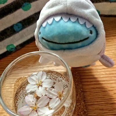 うずさかさんのプロフィール画像
