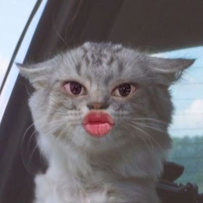 urbxby_'s profile picture. 