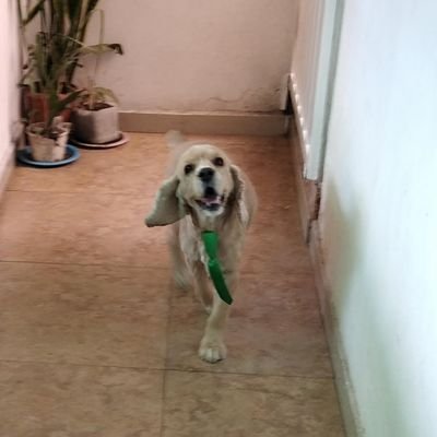 jygabara's profile picture. Perseverancia, insistir, arriesgar, perder o ganar. Mi felicidad soy yo. Cada día más Enamorada, Amando me.