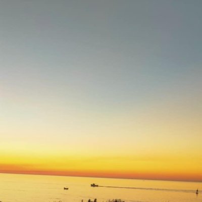 LolaAlegria3's profile picture. Pictures of nudist couples truly in love ♥️🌞
Nudism is not porn. Porn will be blocked.