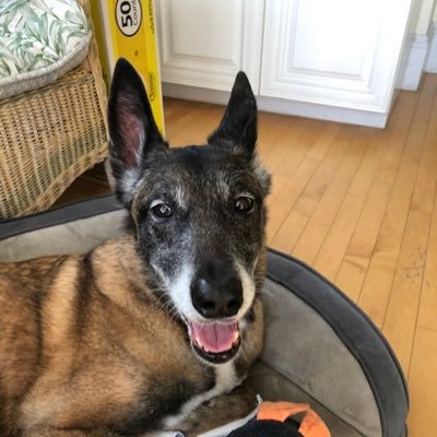 mwdtze's profile picture. Happy to be here. Minifan. Mut Slut. Ryder adjacent.