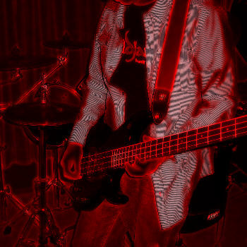 Musician