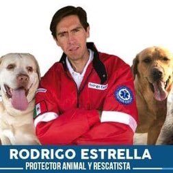 Etólogo, LAE, rescatista profesional, Director de fundación APEA AC, colaborador en Enfoque Noticias, Conductor de Mascotas con Estrella, empresario.