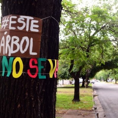 Asamblea vecinalista de Paraná en defensa del arbolado y los espacios verdes
#paranaseplanta #noalatalaenparana