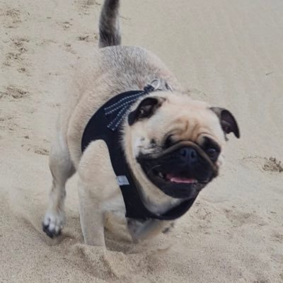 ColinFeldmann's profile picture. 