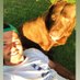 Luis Barrandeguy (@luisbarrandeguy) Twitter profile photo Luis Barrandeguy (@luisbarrandeguy) Twitter profile photo