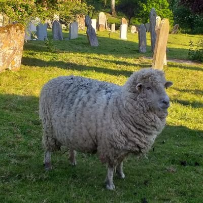 Bart62Michael's profile picture. 