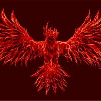 Red Rooster Madison (@madisonrooster) 's Twitter Profile