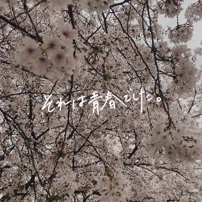 thousan13719076's profile picture. 