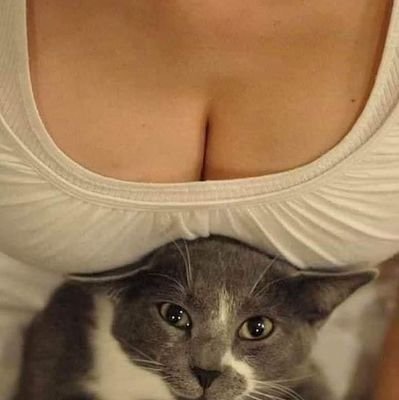 monica_vox's profile picture. Fachita !!!Viva Vox y España 🇪🇸🇪🇸🇪🇸💚💚
Coord;De Vox por mi casa 
Española!!Abstenerse perfiles falsos y rojismo