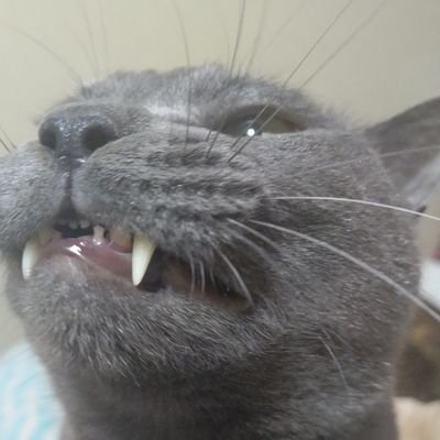 ひとつさんのプロフィール画像