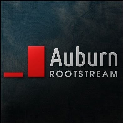 AuburnRS's profile picture. Business consulting, IT, data analysis, integrations, tech.