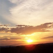Not a coincidence theorist.
The best articles and information for lovers of Truth, Justice and Freedom. Free email Updates: https://t.co/t734Wm6jc2