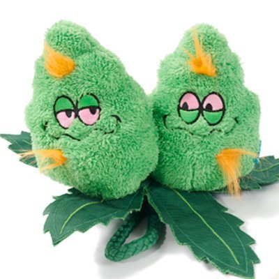 Best friends bonded over love of cannabis. Looking to learn more and connect with like-minded folks!