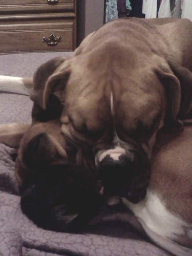 2bajewel's profile picture. Conservative, Christian, Pro-tea party, Pro-life, Pro-family, Small government, Pro-constitution, Pro-freedom and liberty for the individual, Pro Bill of rights