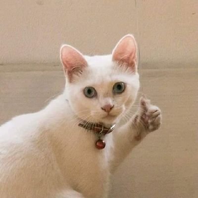 ปวดหลังแบบปุดๆさんのプロフィール画像