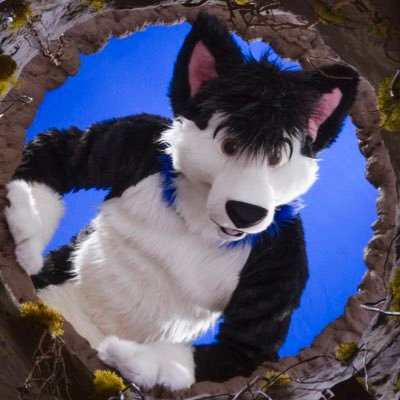 DevOps Engineer, PC Gamer, Photographer & Fursuiter