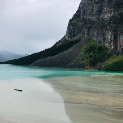 HomesbyShelley's profile picture. REALTOR