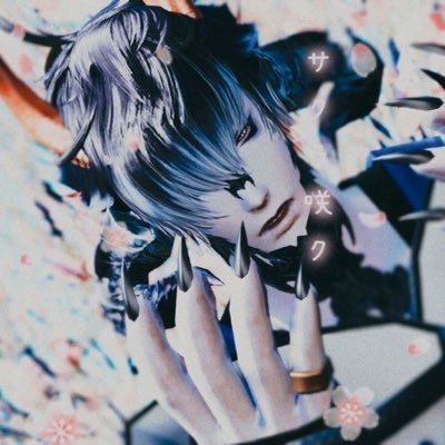 ShiRo@AurA 𓆗さんのプロフィール画像
