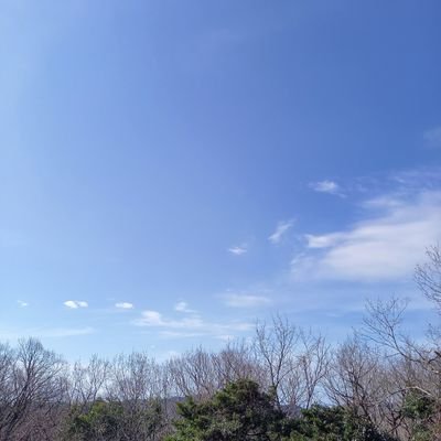 Toshibo1988_i's profile picture. 推し：城乃すい、藤咲七羽、つじさん、横山ルリカ