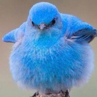 Marc Drees (@marcdrees) 's Twitter Profile