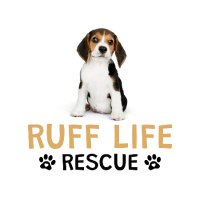 Ruff Life Rescue(@RuffLife_Rescue) 's Twitter Profile Photo