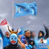 Hasimoglu (@hasimoglu4) 's Twitter Profile