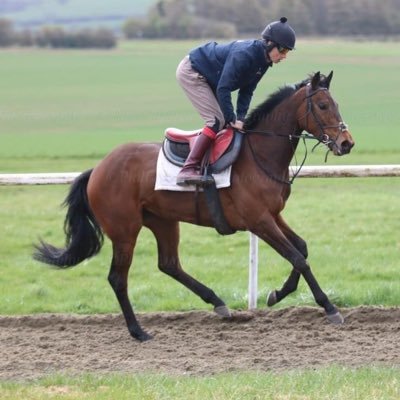 David O’Meara Racing/ International Horseracing Business Graduate 🏇