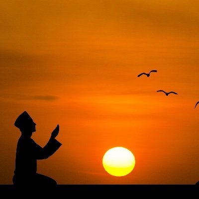 BitcoinShaykh's profile picture. Radical Generalist / Interests in #Bitcoin, markets, sports, epistemology, root causes