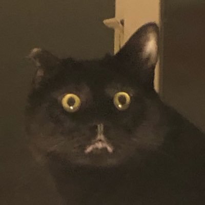 stinkysilas's profile picture. my midol name is zip lock bag and alaso cream cheese knife is besty. 6 years of menacing thes planet