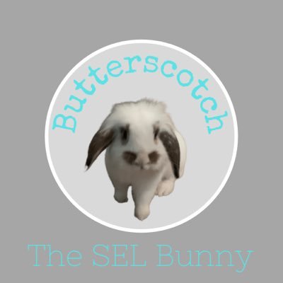 Hello Everyone!My name is Butterscotch and I want to be your friend! Join me as we learn about Social Emotion Learning! My goal is to make kids better humans!